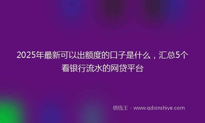 2025年最新可以出额度的口子是什么，汇总5个看银行流水的网贷平台