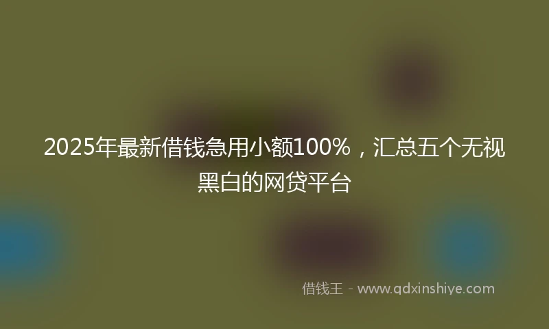 2025年最新借钱急用小额100%，汇总五个无视黑白的网贷平台