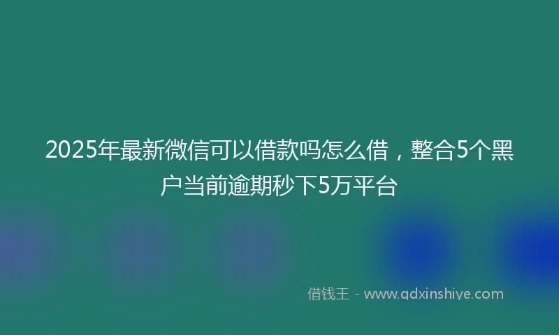 2025年最新微信可以借款吗怎么借，整合5个黑户当前逾期秒下5万平台