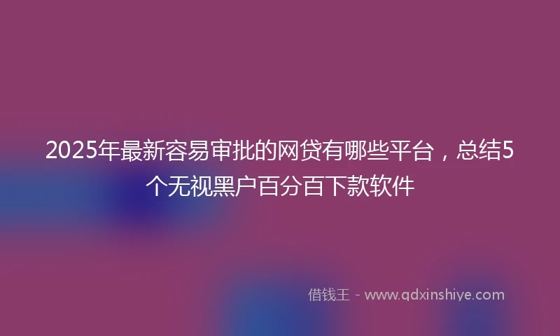 2025年最新容易审批的网贷有哪些平台，总结5个无视黑户百分百下款软件