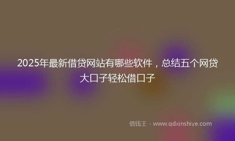 2025年最新借贷网站有哪些软件，总结五个网贷大口子轻松借口子