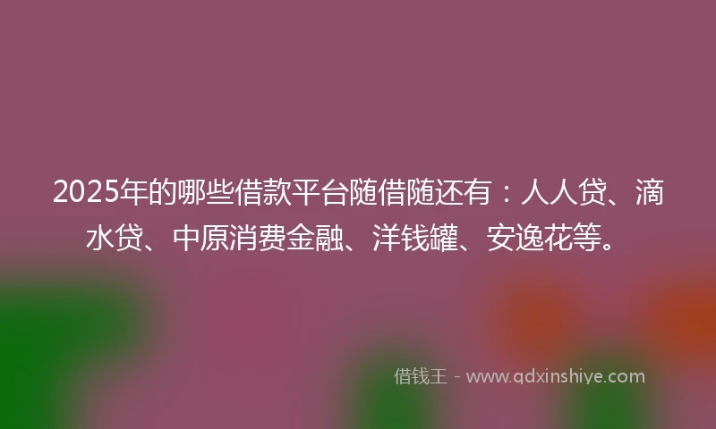2025年的哪些借款平台随借随还有：人人贷、滴水贷、中原消费金融、洋钱罐、安逸花等。