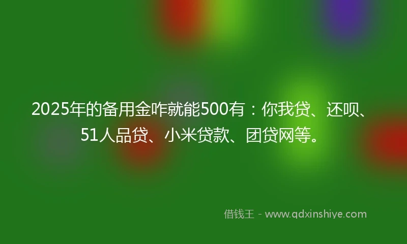 2025年的备用金咋就能500有：你我贷、还呗、51人品贷、小米贷款、团贷网等。