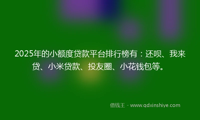 2025年的小额度贷款平台排行榜有：还呗、我来贷、小米贷款、投友圈、小花钱包等。
