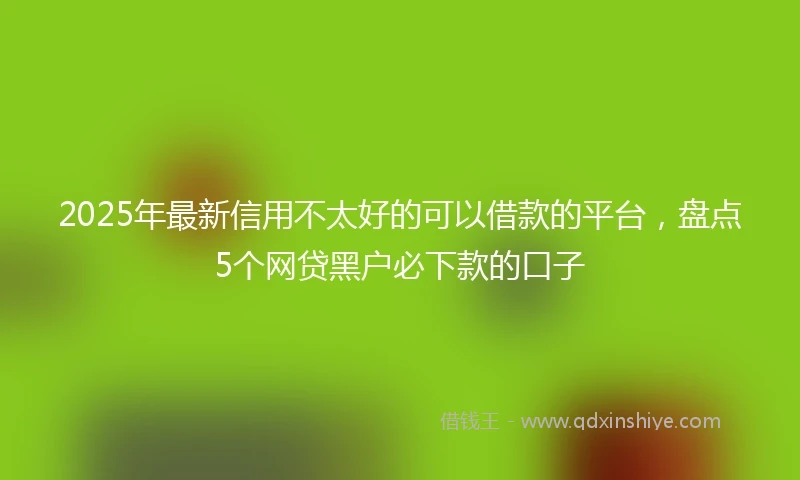 2025年最新信用不太好的可以借款的平台，盘点5个网贷黑户必下款的口子