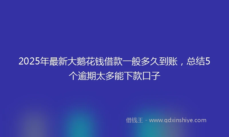 2025年最新大鹅花钱借款一般多久到账，总结5个逾期太多能下款口子