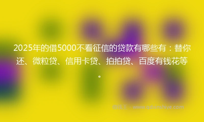2025年的借5000不看征信的贷款有哪些有：替你还、微粒贷、信用卡贷、拍拍贷、百度有钱花等。
