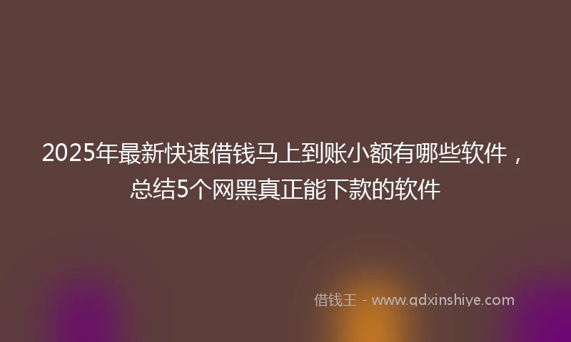 2025年最新快速借钱马上到账小额有哪些软件，总结5个网黑真正能下款的软件