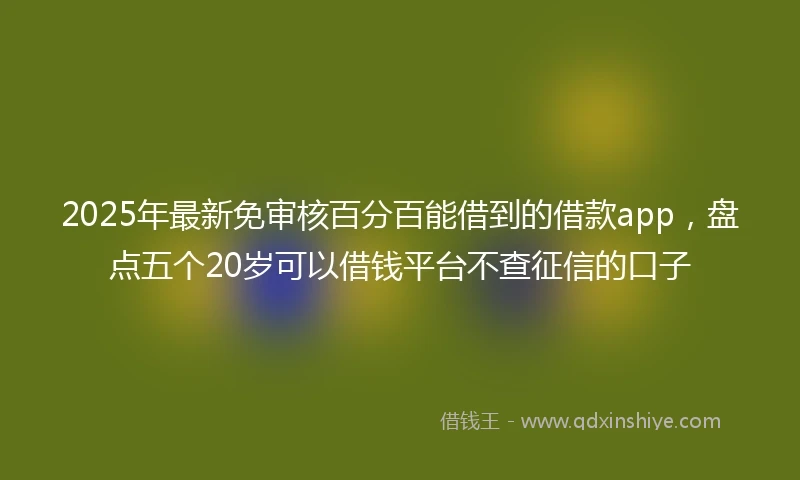 2025年最新免审核百分百能借到的借款app，盘点五个20岁可以借钱平台不查征信的口子