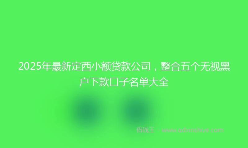 2025年最新定西小额贷款公司，整合五个无视黑户下款口子名单大全
