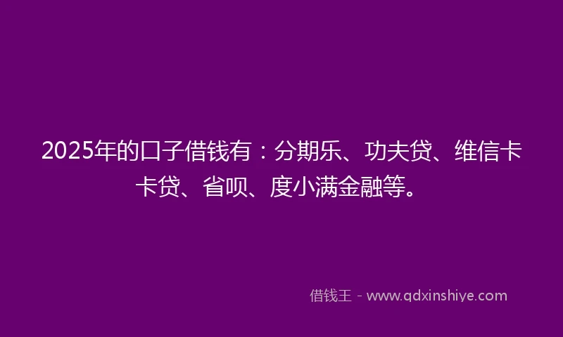2025年的口子借钱有：分期乐、功夫贷、维信卡卡贷、省呗、度小满金融等。