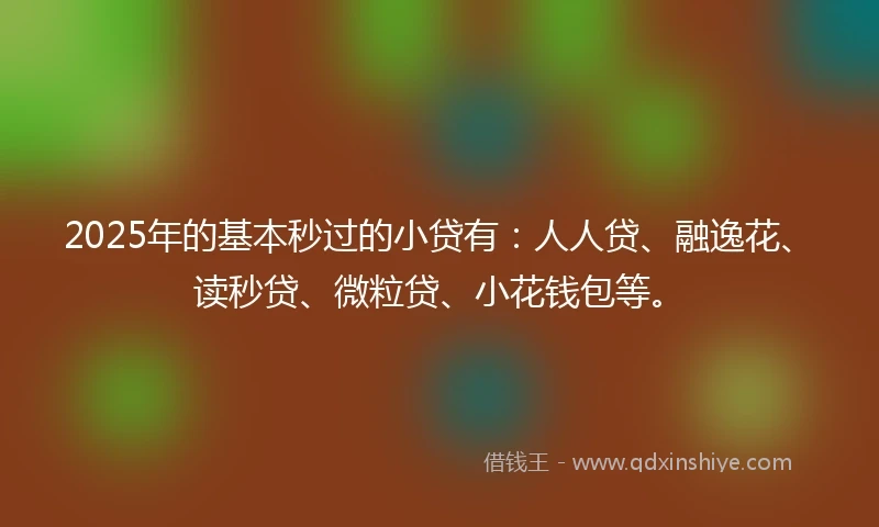 2025年的基本秒过的小贷有：人人贷、融逸花、读秒贷、微粒贷、小花钱包等。