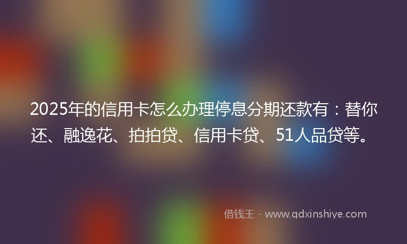 2025年的信用卡怎么办理停息分期还款有：替你还、融逸花、拍拍贷、信用卡贷、51人品贷等。