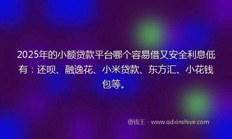 2025年的小额贷款平台哪个容易借又安全利息低有：还呗、融逸花、小米贷款、东方汇、小花钱包等。