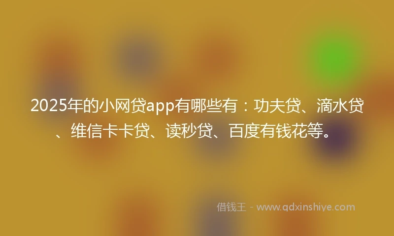 2025年的小网贷app有哪些有：功夫贷、滴水贷、维信卡卡贷、读秒贷、百度有钱花等。