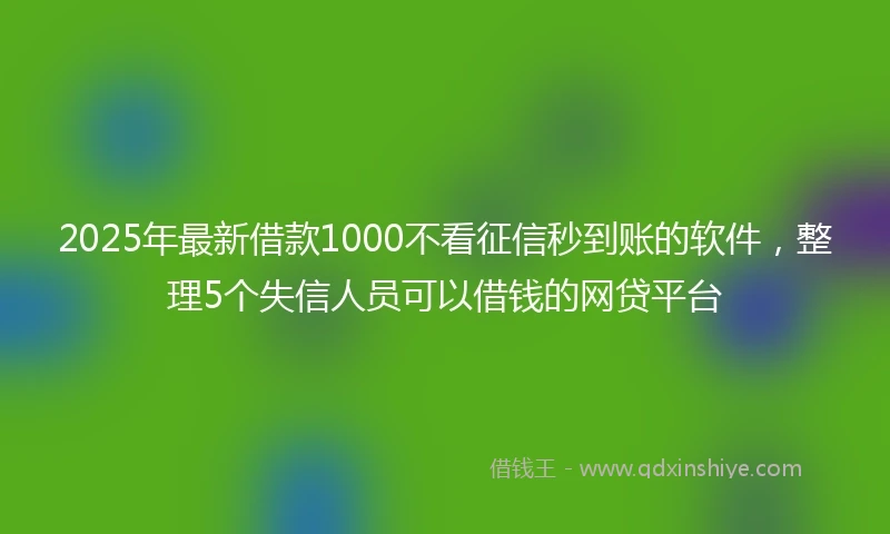 2025年最新借款1000不看征信秒到账的软件，整理5个失信人员可以借钱的网贷平台