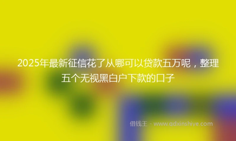 2025年最新征信花了从哪可以贷款五万呢，整理五个无视黑白户下款的口子
