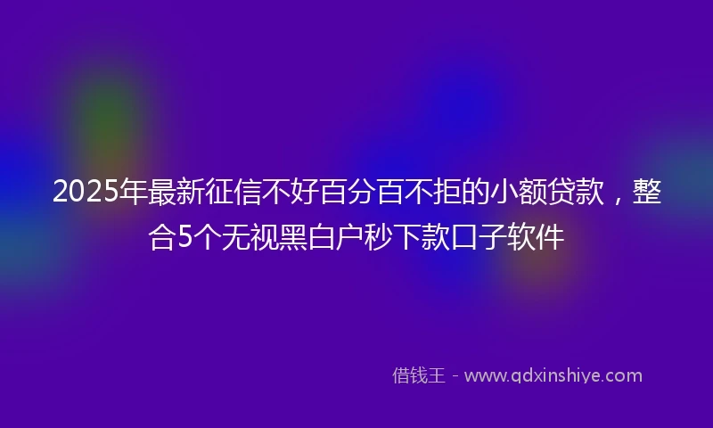 2025年最新征信不好百分百不拒的小额贷款，整合5个无视黑白户秒下款口子软件