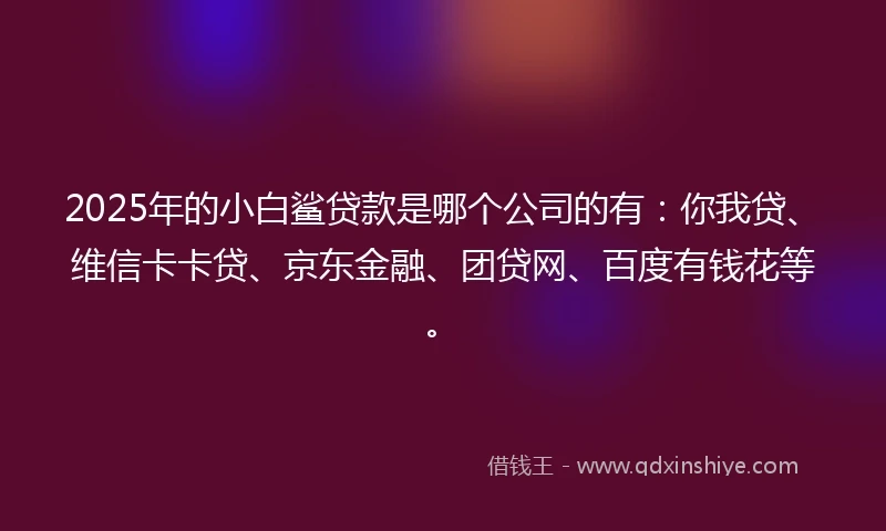 2025年的小白鲨贷款是哪个公司的有：你我贷、维信卡卡贷、京东金融、团贷网、百度有钱花等。