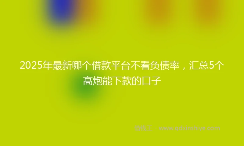 2025年最新哪个借款平台不看负债率，汇总5个高炮能下款的口子