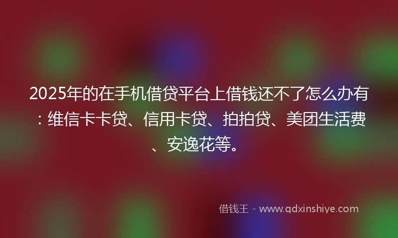 2025年的在手机借贷平台上借钱还不了怎么办有：维信卡卡贷、信用卡贷、拍拍贷、美团生活费、安逸花等。
