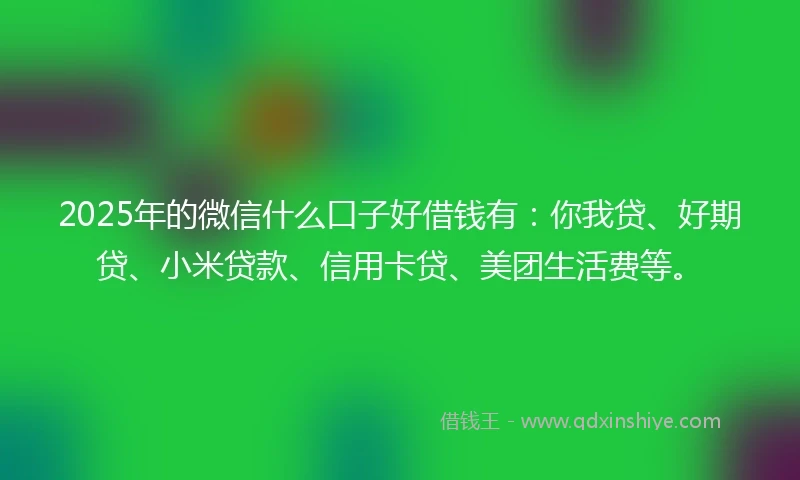 2025年的微信什么口子好借钱有：你我贷、好期贷、小米贷款、信用卡贷、美团生活费等。
