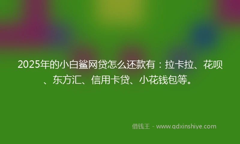 2025年的小白鲨网贷怎么还款有：拉卡拉、花呗、东方汇、信用卡贷、小花钱包等。