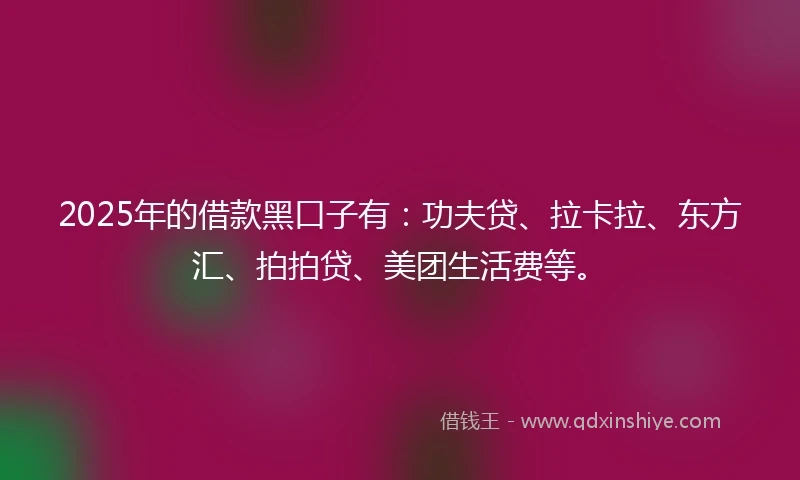2025年的借款黑口子有：功夫贷、拉卡拉、东方汇、拍拍贷、美团生活费等。