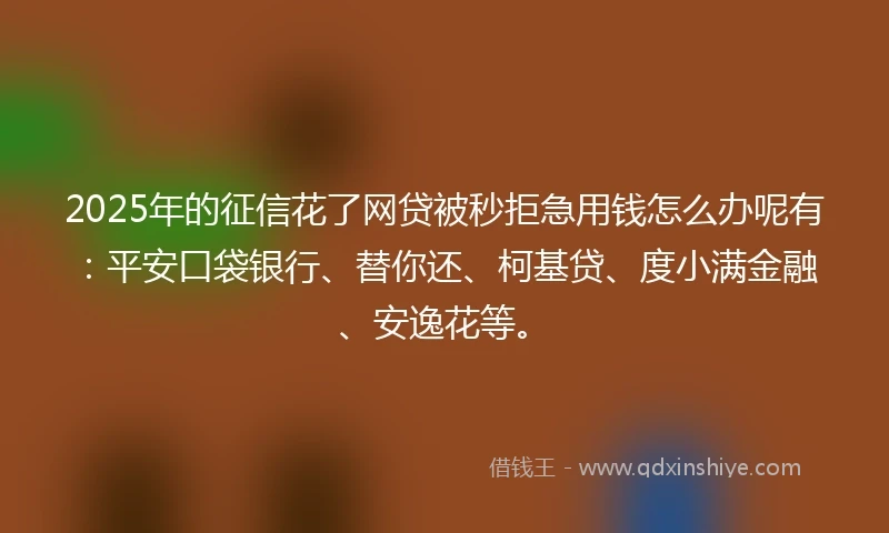 2025年的征信花了网贷被秒拒急用钱怎么办呢有：平安口袋银行、替你还、柯基贷、度小满金融、安逸花等。