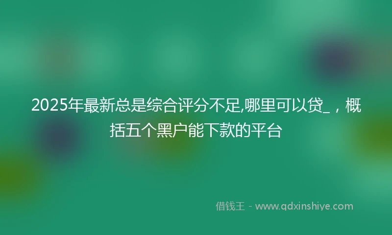 2025年最新总是综合评分不足,哪里可以贷_，概括五个黑户能下款的平台