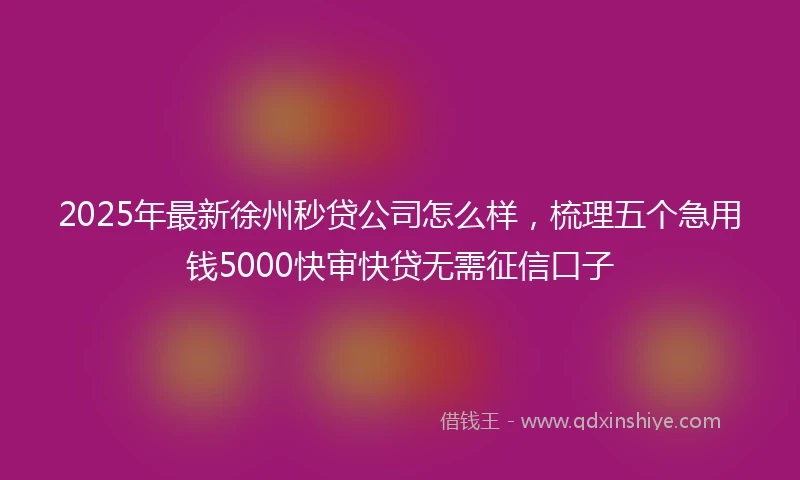 2025年最新徐州秒贷公司怎么样，梳理五个急用钱5000快审快贷无需征信口子