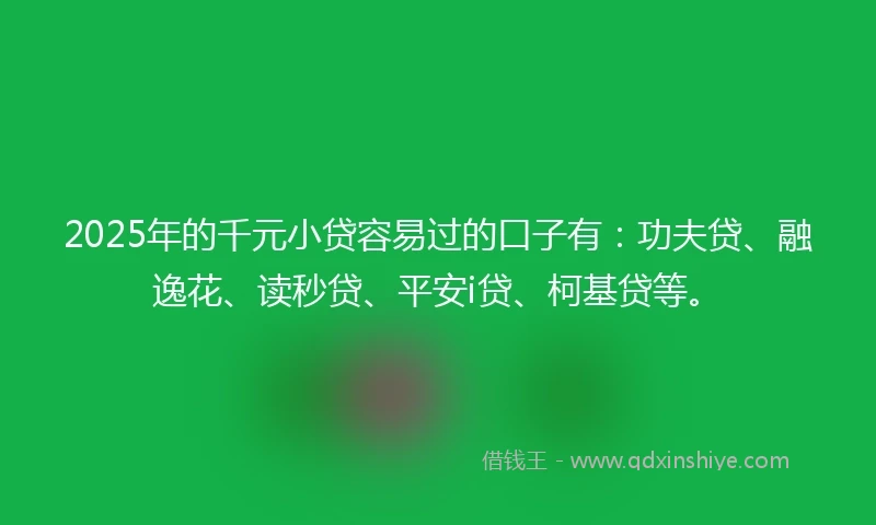 2025年的千元小贷容易过的口子有：功夫贷、融逸花、读秒贷、平安i贷、柯基贷等。