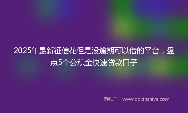2025年最新征信花但是没逾期可以借的平台，盘点5个公积金快速贷款口子