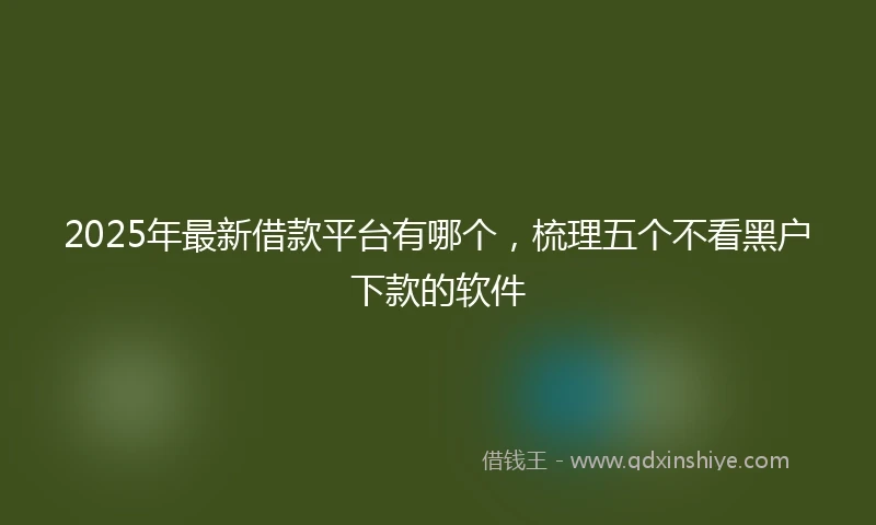 2025年最新借款平台有哪个，梳理五个不看黑户下款的软件