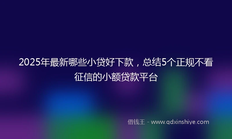2025年最新哪些小贷好下款，总结5个正规不看征信的小额贷款平台