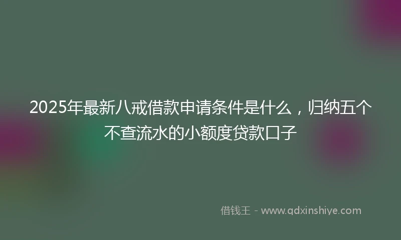 2025年最新八戒借款申请条件是什么，归纳五个不查流水的小额度贷款口子