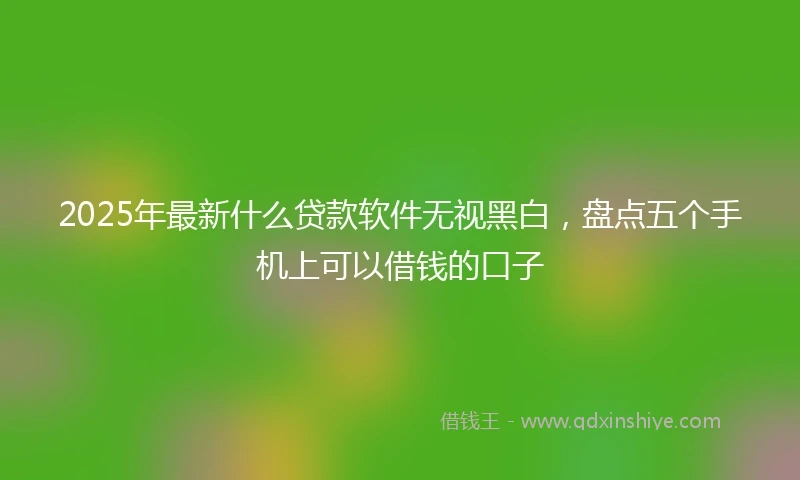 2025年最新什么贷款软件无视黑白，盘点五个手机上可以借钱的口子