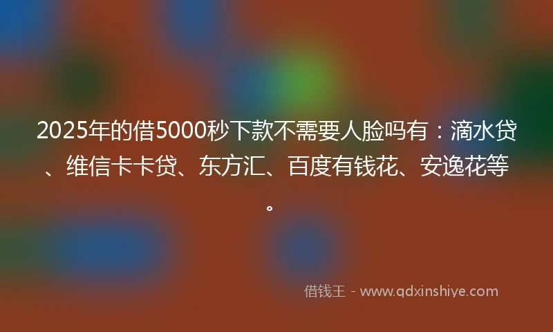 2025年的借5000秒下款不需要人脸吗有：滴水贷、维信卡卡贷、东方汇、百度有钱花、安逸花等。