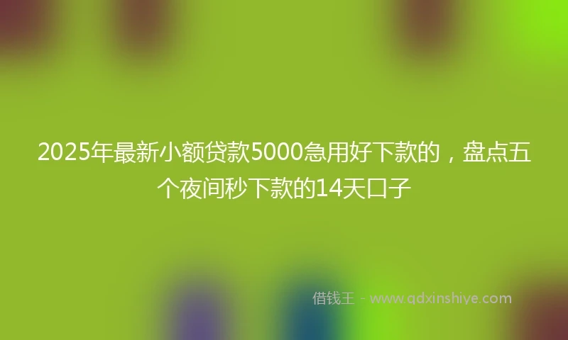 2025年最新小额贷款5000急用好下款的，盘点五个夜间秒下款的14天口子