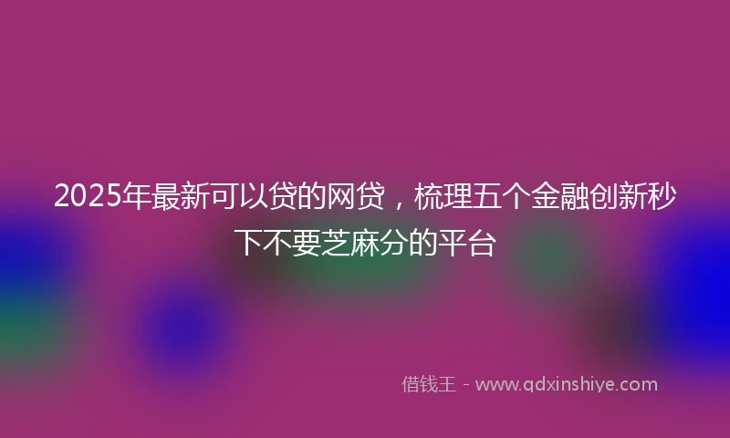 2025年最新可以贷的网贷，梳理五个金融创新秒下不要芝麻分的平台