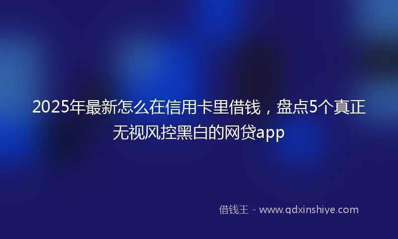 2025年最新怎么在信用卡里借钱，盘点5个真正无视风控黑白的网贷app