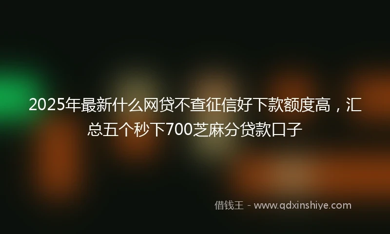2025年最新什么网贷不查征信好下款额度高，汇总五个秒下700芝麻分贷款口子