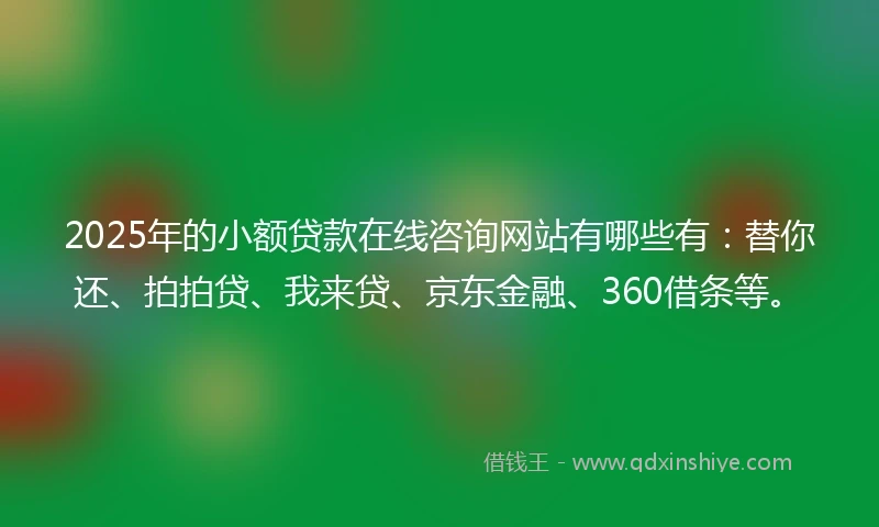 2025年的小额贷款在线咨询网站有哪些有：替你还、拍拍贷、我来贷、京东金融、360借条等。
