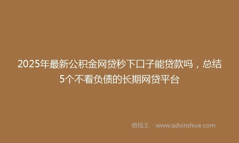 2025年最新公积金网贷秒下口子能贷款吗，总结5个不看负债的长期网贷平台