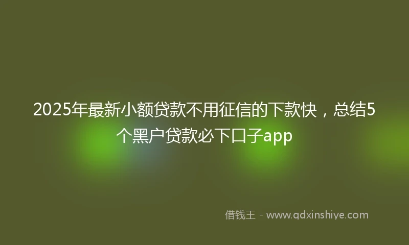 2025年最新小额贷款不用征信的下款快，总结5个黑户贷款必下口子app