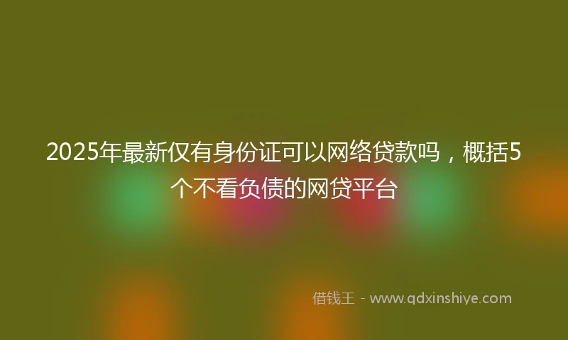 2025年最新仅有身份证可以网络贷款吗，概括5个不看负债的网贷平台
