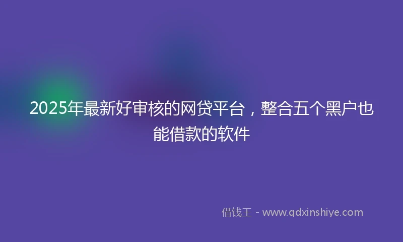 2025年最新好审核的网贷平台，整合五个黑户也能借款的软件