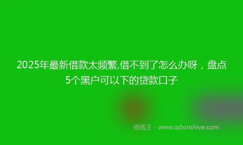 2025年最新借款太频繁,借不到了怎么办呀，盘点5个黑户可以下的贷款口子
