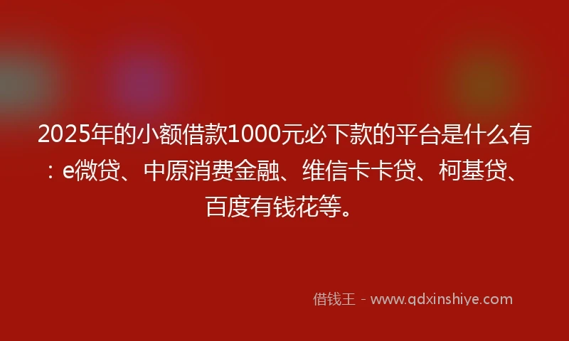 2025年的小额借款1000元必下款的平台是什么有：e微贷、中原消费金融、维信卡卡贷、柯基贷、百度有钱花等。