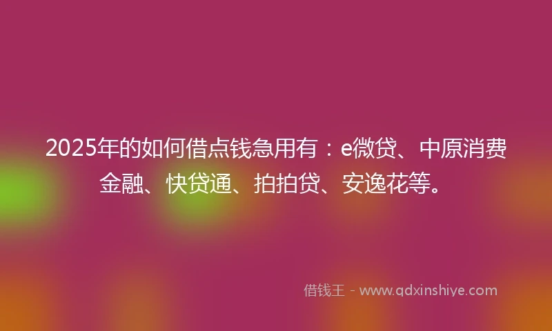 2025年的如何借点钱急用有：e微贷、中原消费金融、快贷通、拍拍贷、安逸花等。